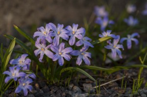 Sista stunden i solen 8673