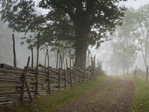 Dimmig höstmorgon